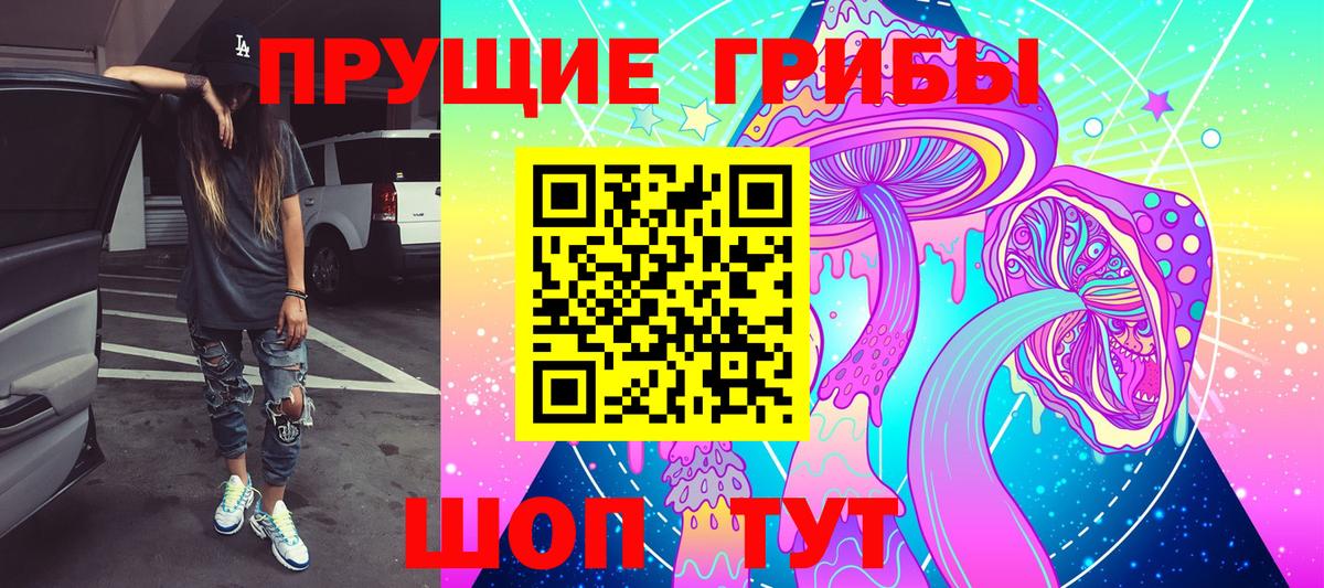 наркотики  Вход с VPN  Выборг  Псилоцибиновые грибы Psilocybe 