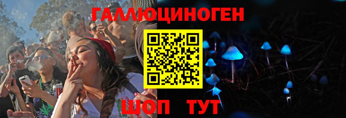 Псилоцибиновые грибы Cubensis Выборг